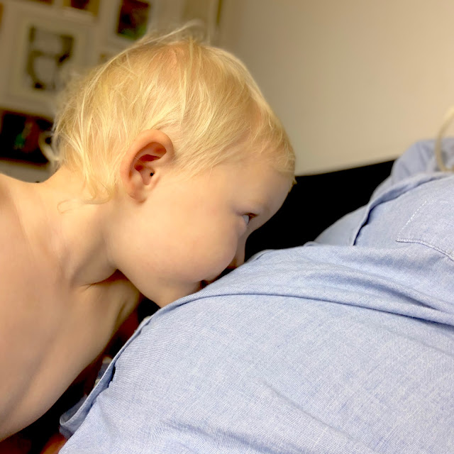 Toddler kissing a 31 week pregnancy bump