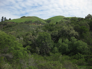 View of the upper west side of Old La Honda Road.