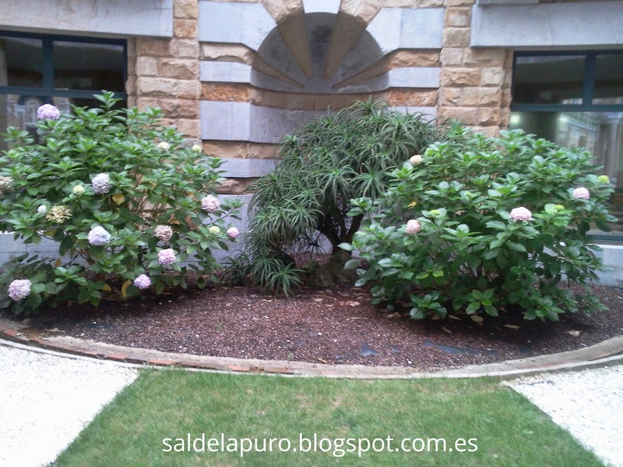 gijón-universidad-laboral