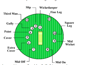 D&H Sports: miracle & funtastic CRICKET