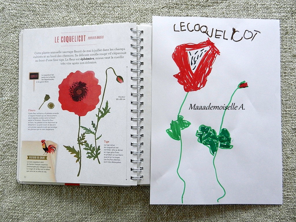 Apprendre A Realiser Un Dessin De Fleur Dessindigo