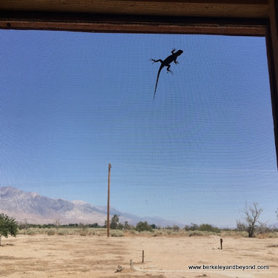 view from women's latrine at Manzanar National Historic Site in Independence, California view from women's latrine at Manzanar National Historic Site in Independence, California