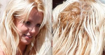 Pretty Luscious Things Bleach Bath For Hair Extensions Lace Wigs