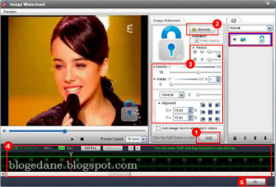 Free Download Video Watermark Pro 2.3 Version + license 