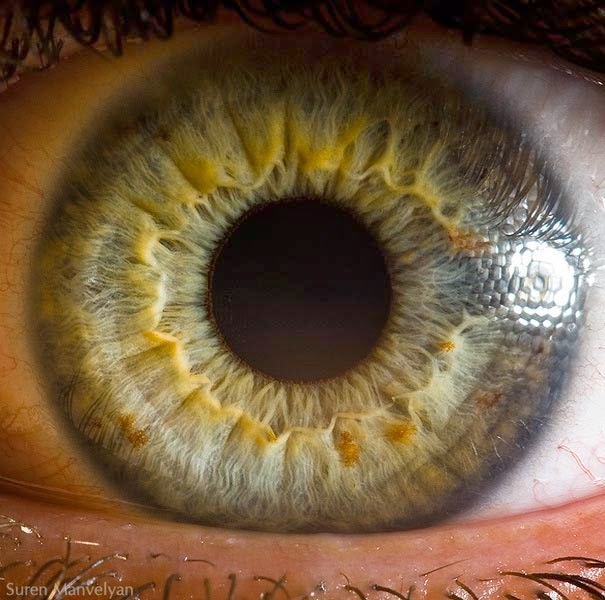 FOTO: Close-Ups extremos del Ojo Humano - VelocidadMaxima.com
