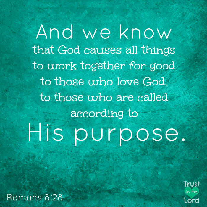 Seeking Jesus: Do you feel discouraged?