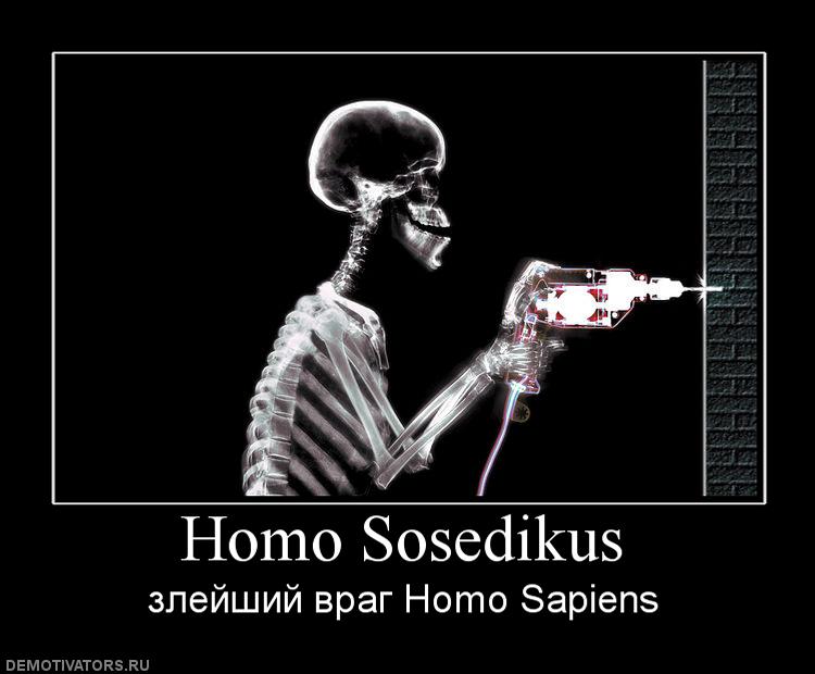 homo_sosedikus.jpg