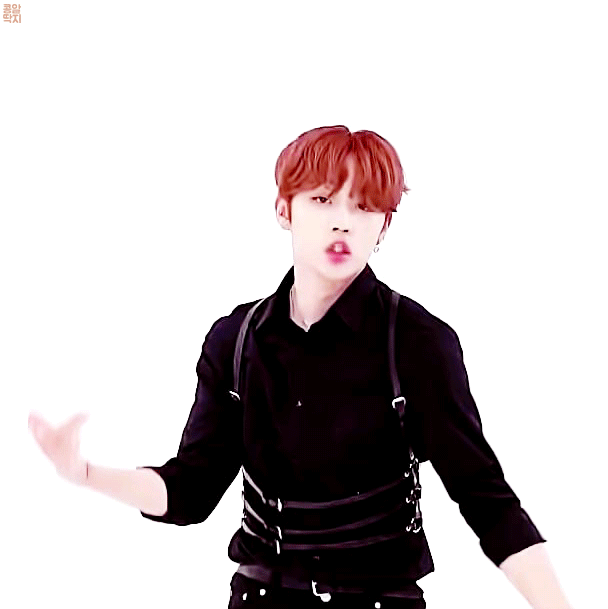 하네스 처돌이가 어제 들은 케이콘 커버 | 인스티즈