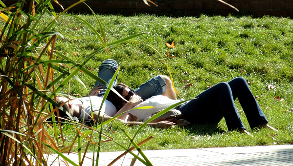 Paparazzi couple allongé sur l'herbe