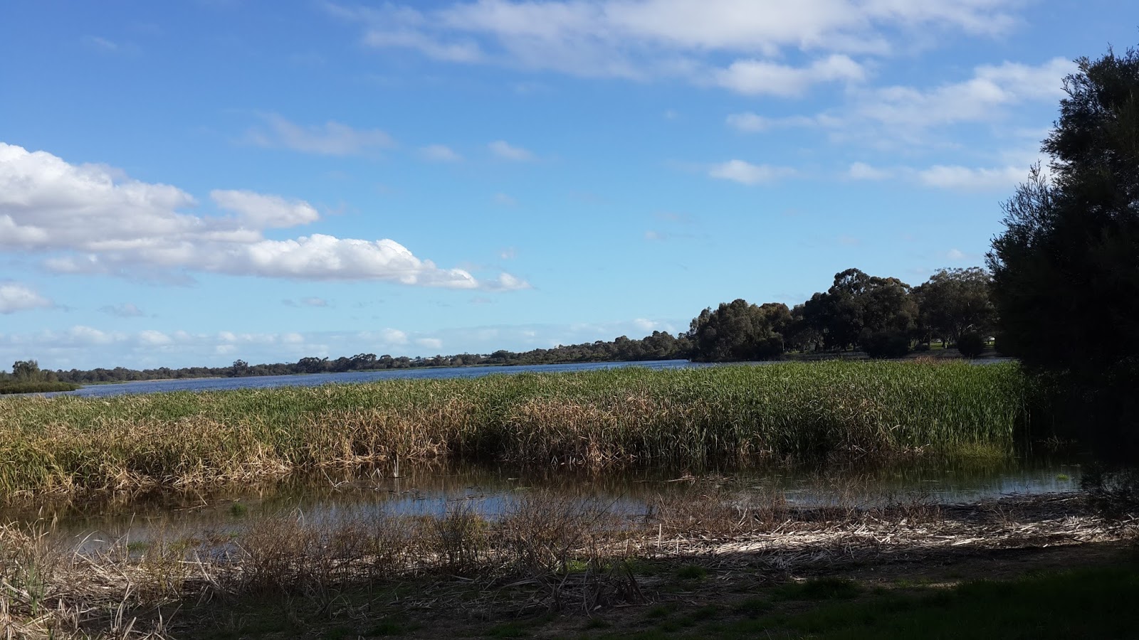 My Travel Diary Bibra Lake Reserve
