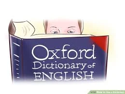 The Important of Using a Dictionary