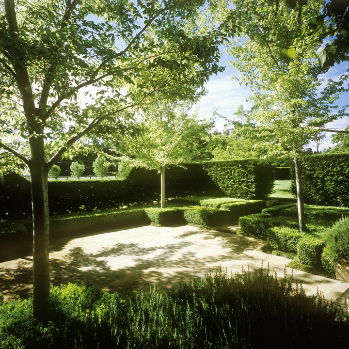 a curious gardener garden designer Peter Fudge