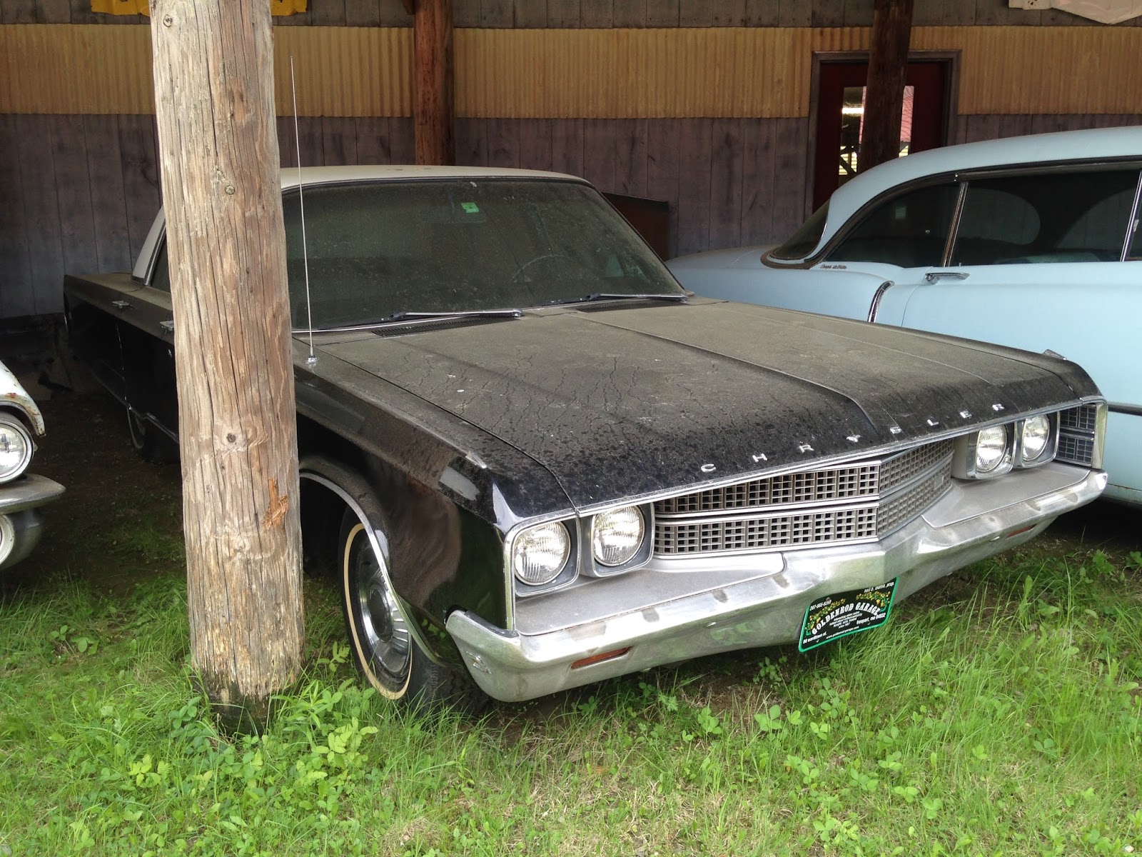 autoliterate Yard Dogs at Goldenrod Garage