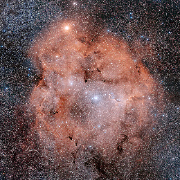 Stunning image of IC 1396 and the Elephant Trunk Nebula