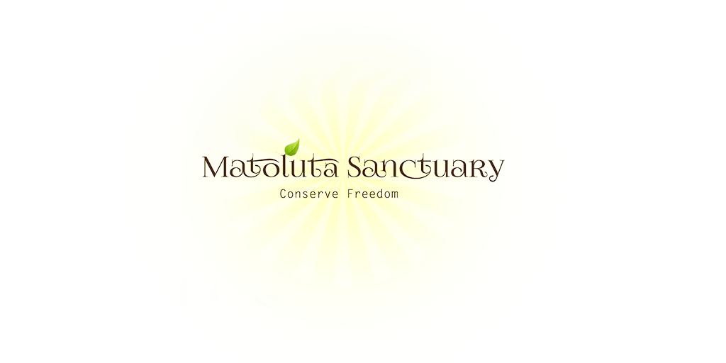 Matoluta Sanctuary