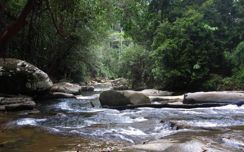 Hasil gambar untuk Taman Wisata Alam Sumber Semen