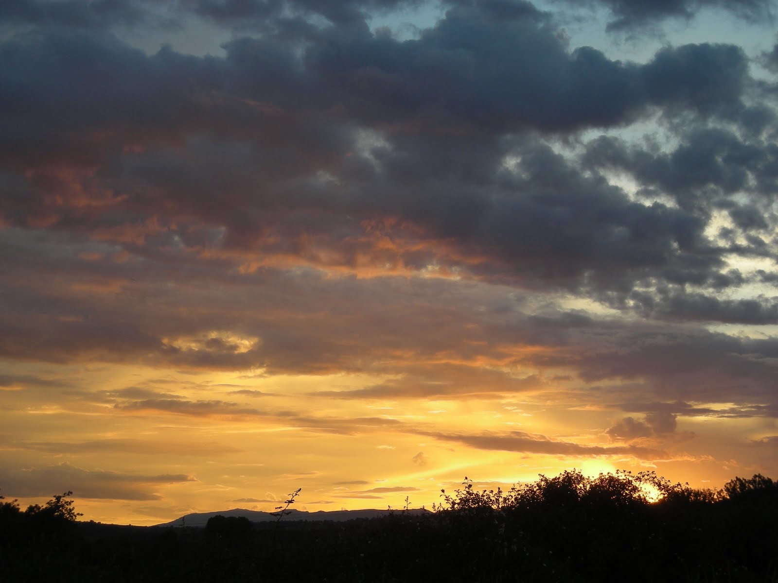 El ti Joaquín . com La rubiana