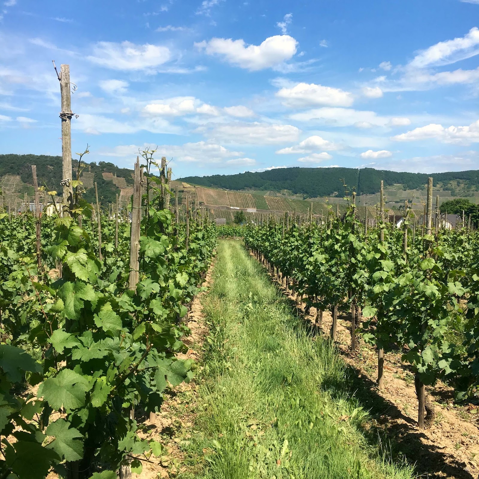 Namida Magazin Abenteuer Brodenbach Ein Wochenende An Der Mosel