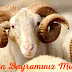 Qurban Bayramı Təbrik Mesajları 2017