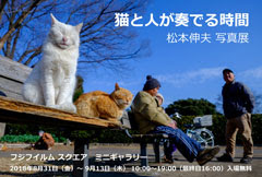 【 ありがとうございました 】<br>　第３回個展<br>　猫と人が奏でる時間