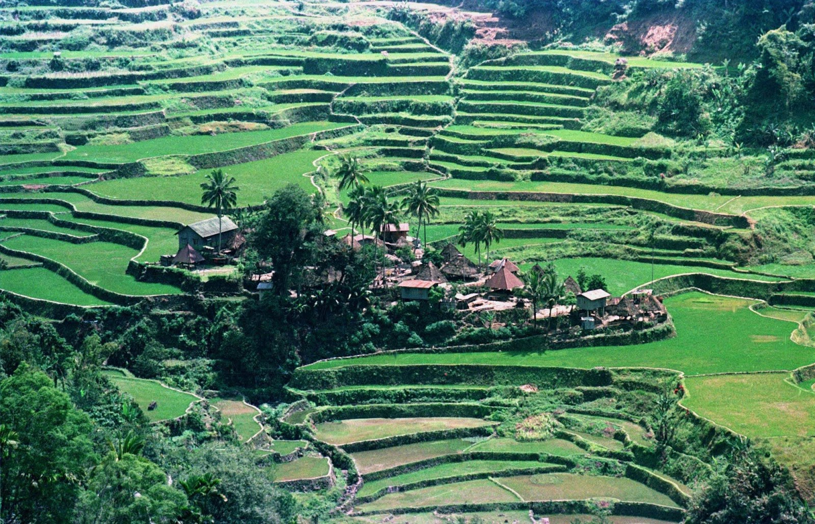 EL RINCÓN DE GUNDISALVUS Filipinas en el corazón