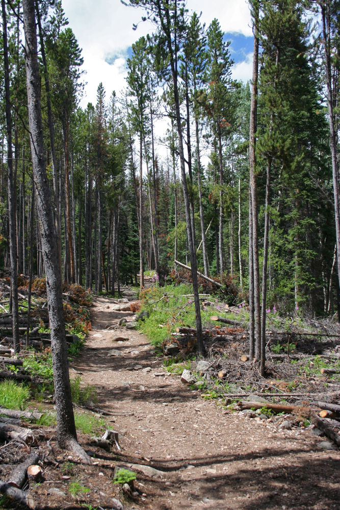 Colorado Lifestyle Lilly Pad Lake via Meadow Creek