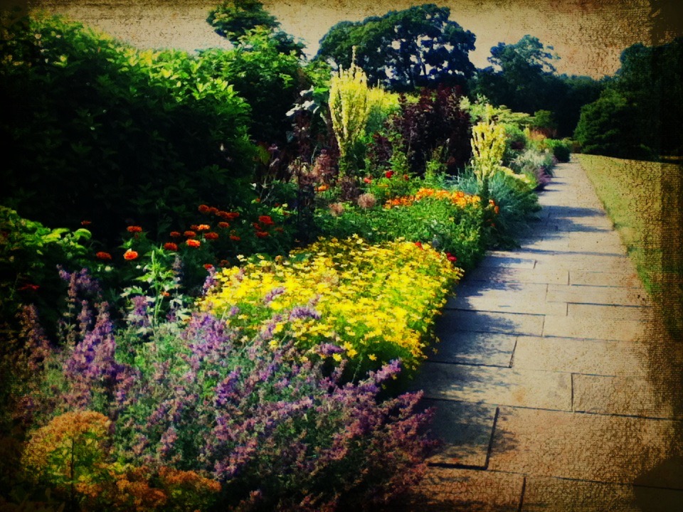 asketchadayConnecticutRamblings GLORIOUS WHITE FLOWER FARM