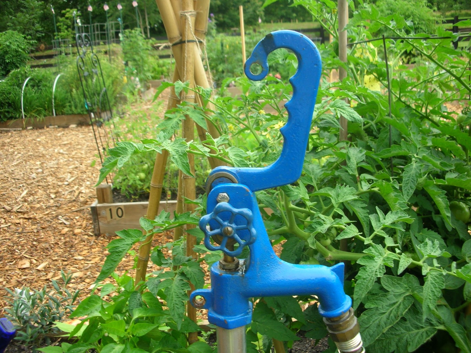 Green Meadows Community Garden Water Spigots, Leaks and Pressure Problems