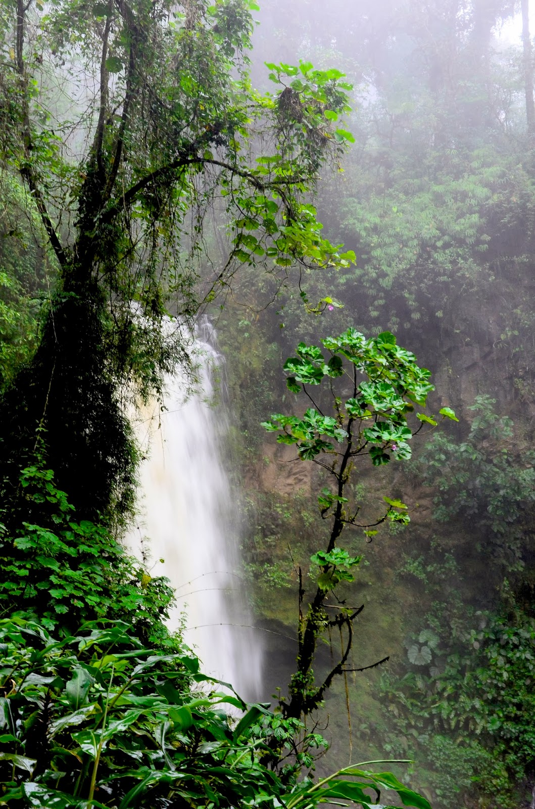 Tamarindo, Costa Rica Daily Photo A waterfall through the jungle
