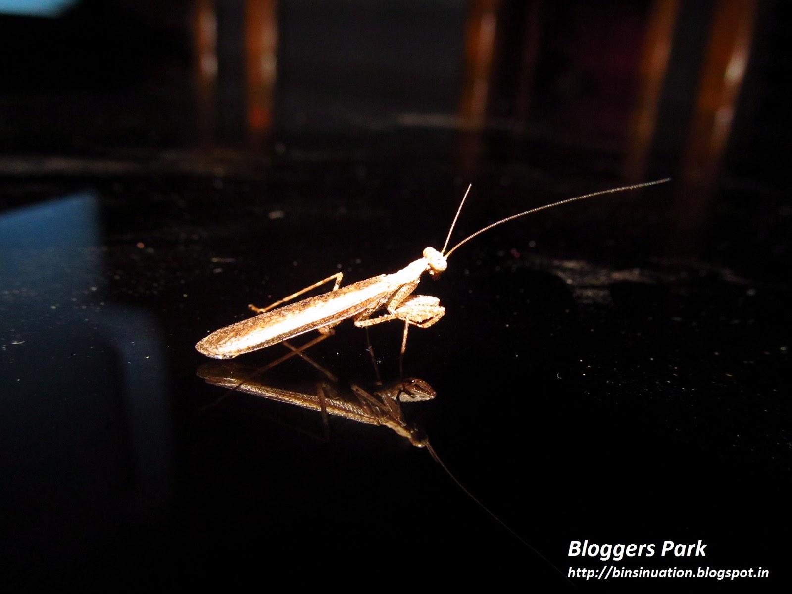 Nude Pix Do men like their anus licked