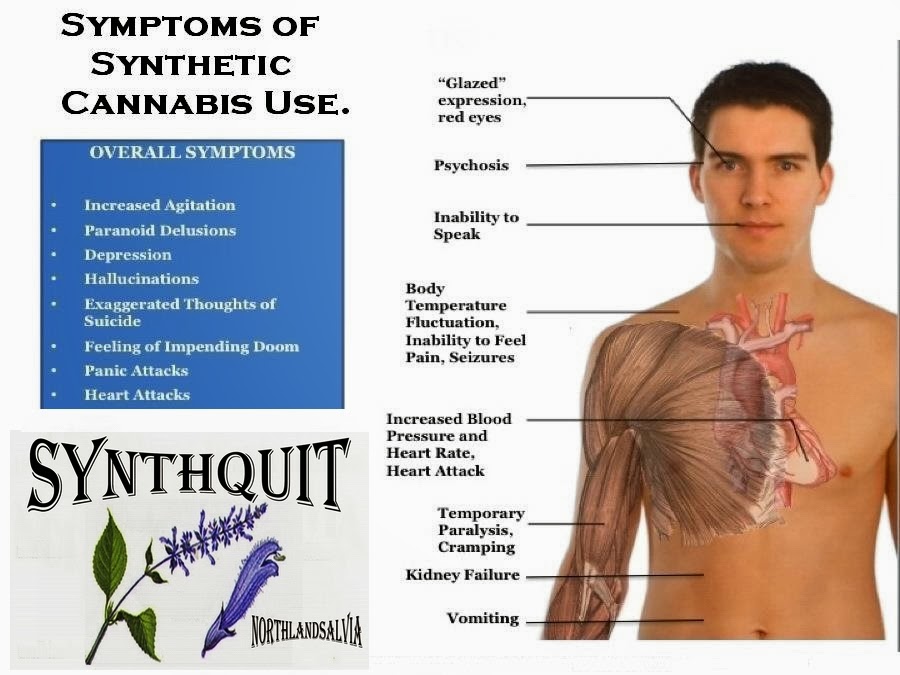 northland salvia SynthQuit / MethQuit