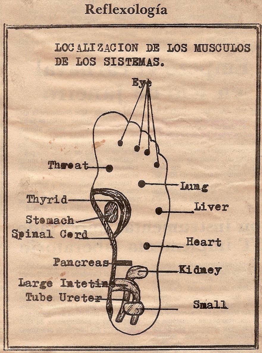 Educacion y Salud: REFLEXOLOGÍA