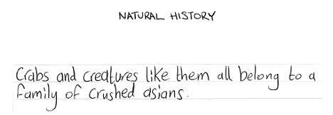 andrew's blog: Funny kid's exam answers
