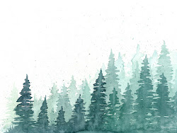 evergreen watercolor trees forest evergreens hikes woods inspired many through
