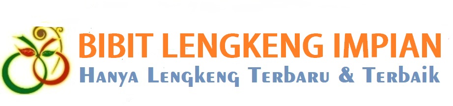 LENGKENG LENGKENG SUPER