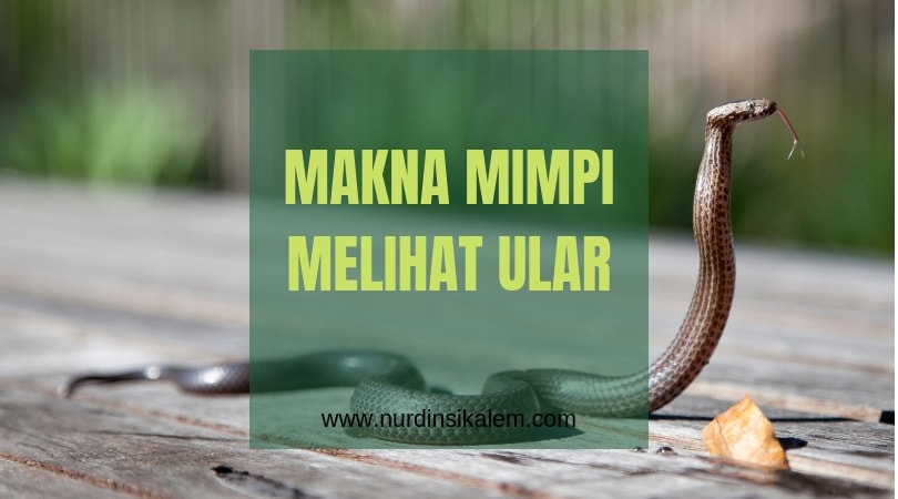 Berbagai Macam Arti Mimpi Melihat Ular Blog Nurdin Sikalem