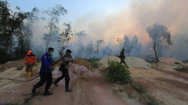 Kebakaran Hutan dan Lahan Melanda, Riau Tetapkan Status Siaga Kebakaran Hutan dan Lahan Melanda, Riau Tetapkan Status Siaga