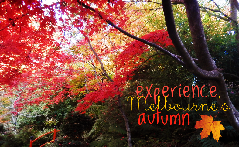 Places to Experience Melbourne's Autumn 2015