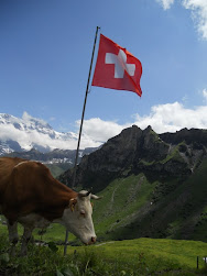 North Face Trail Mürren - Swiss flag and a cow