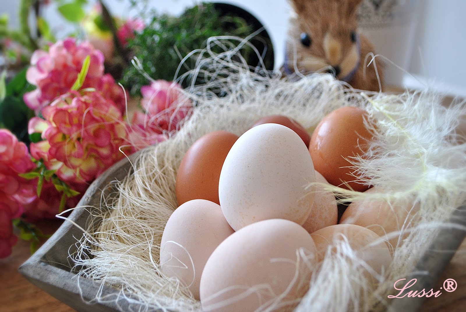 Lussi`s World of Artcraft Направи си сам Как да избелим яйца за