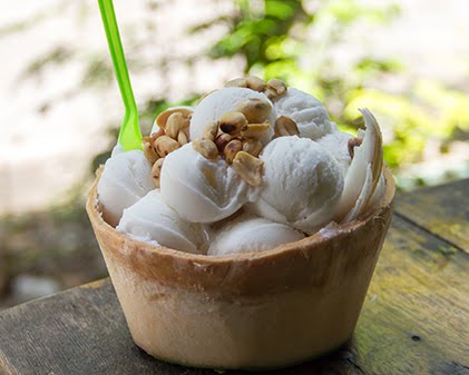 coconut ice cream coconut ice cream
