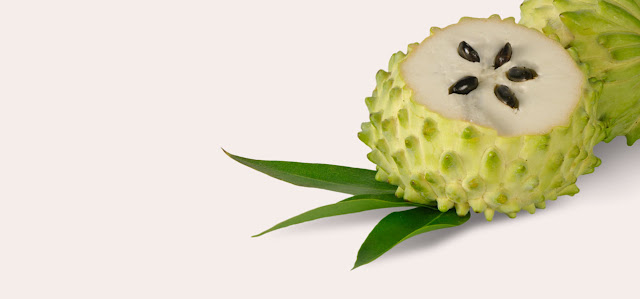 Ternyata Manfaat Daun Sirsak Lebih Besar Daripada Buahnya Loh. Inilah Manfaat dan Cara Memanfaatkannya Ternyata Manfaat Daun Sirsak Lebih Besar Daripada Buahnya Loh. Inilah Manfaat dan Cara Memanfaatkannya