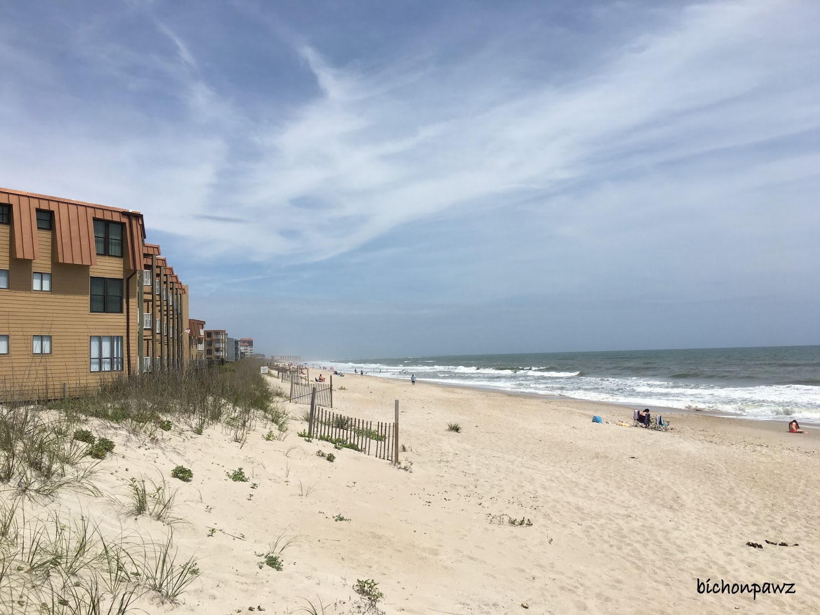 bichonpawz Travel Tuesday Topsail Island