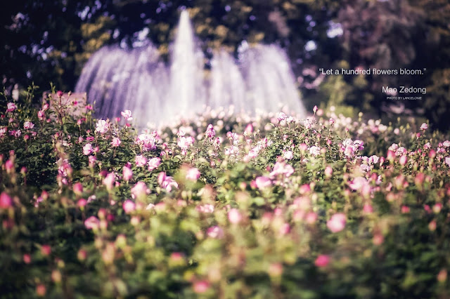 A Flower For You by lancelonie A Flower For You by lancelonie
