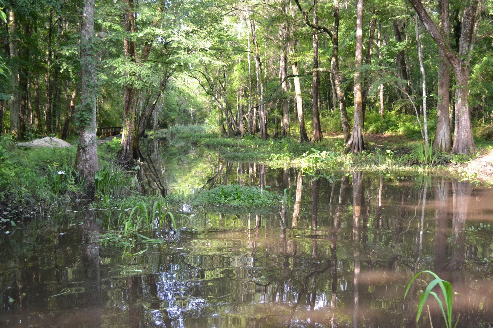 Исторический канал Саванна - Огичи (Historic Savannah-Ogeechee Barge Canal, Savannah, GA)