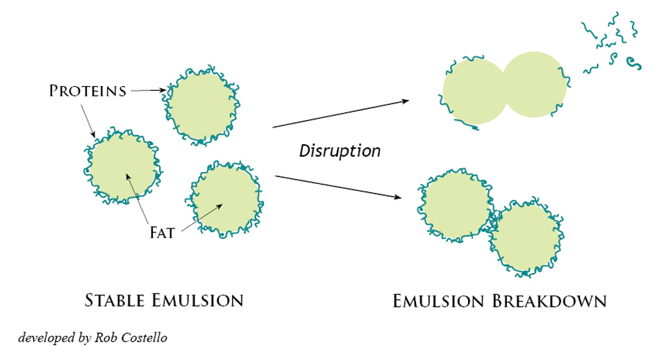 Calf Sessions The Science Of Mixing Milk Replacer Mixology 101