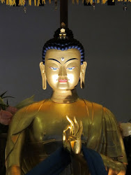 Maitreya Project