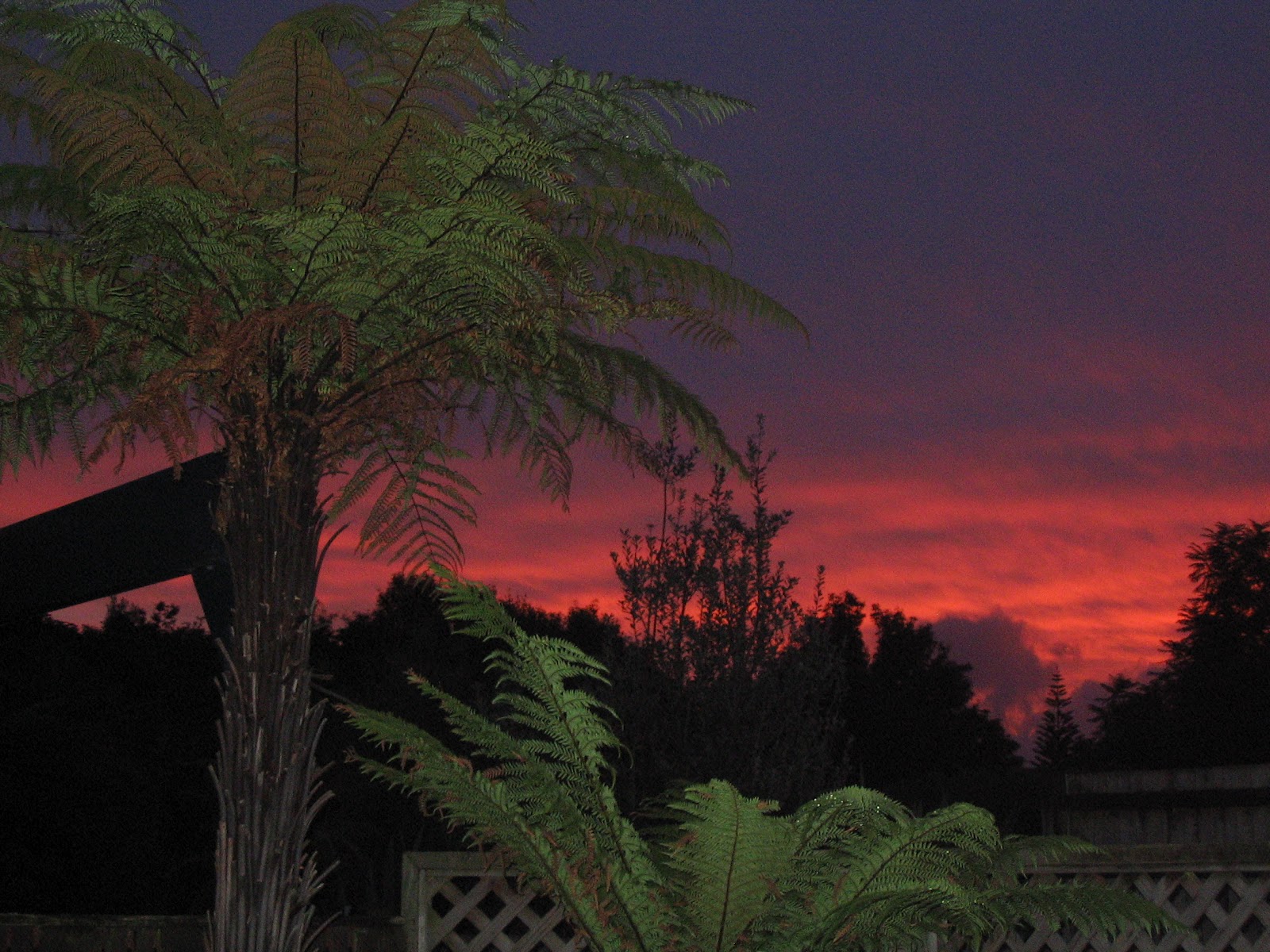 Lilly's Pad: Depression hurts (literally, physically)