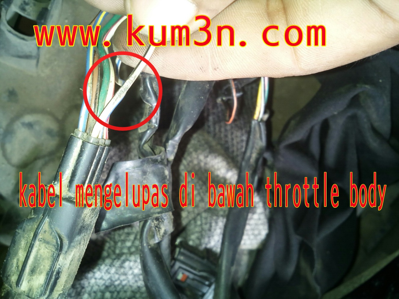 Mengatasi Trouble Mil Kedipan 52 Sensor Ckp Kum3n Com