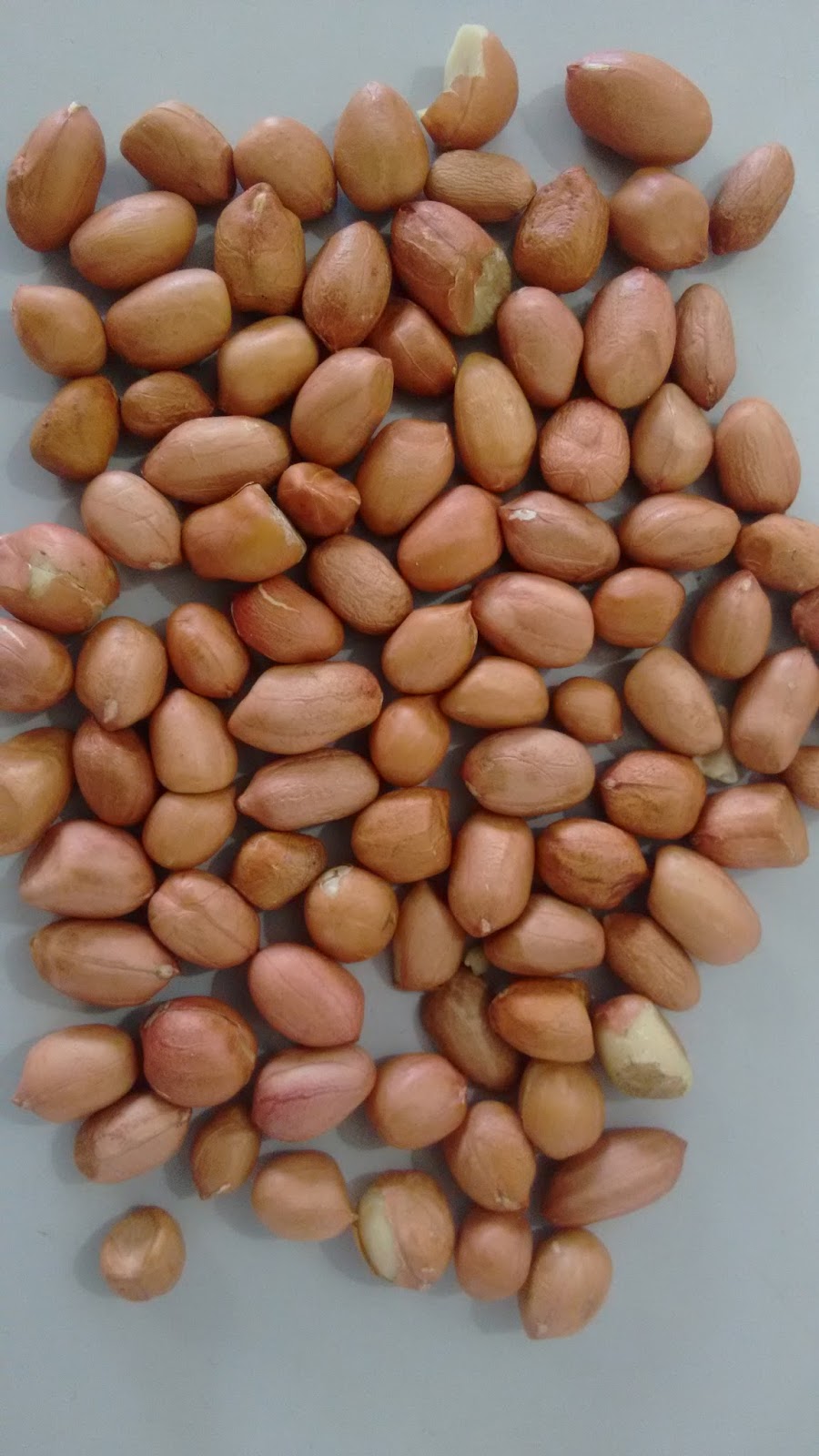 MaraChekku machine groundnut seeds price groundnut seeds buyers groundnut suppliers in Tamilnadu